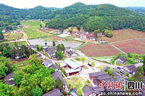 西充有机村。 西充县委报道组供图