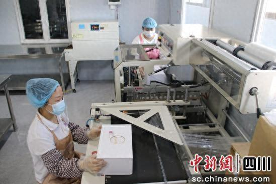 盛祥玫瑰包装车间，工人们正在包装玫瑰花茶。西充县委报道组供图