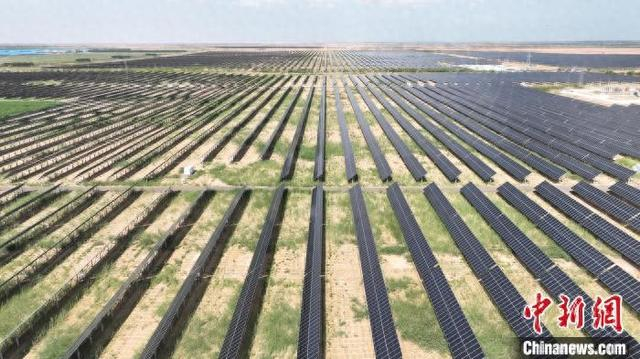 图为一望无际的光伏发电板。 姚鑫 摄