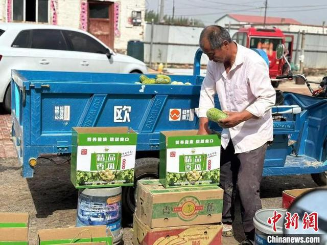 图为刘奇将甜瓜装箱。 赵靖 摄