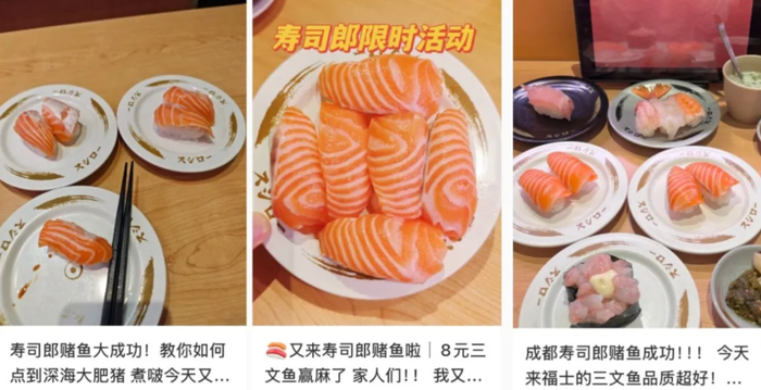 网友们在社交平台上分享自己的“赌鱼攻略”。图/小红书截图