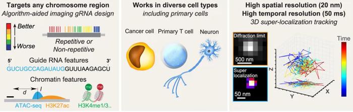 (来源:Cell)