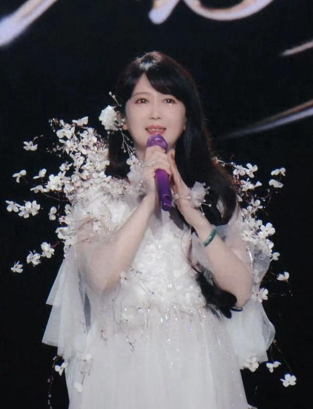 孟庭苇演出现场。