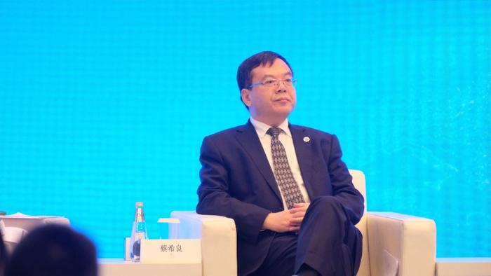 中国人寿保险(集团)公司董事长蔡希良在2025陆家嘴论坛上 澎湃新闻记者 胡志挺 图
