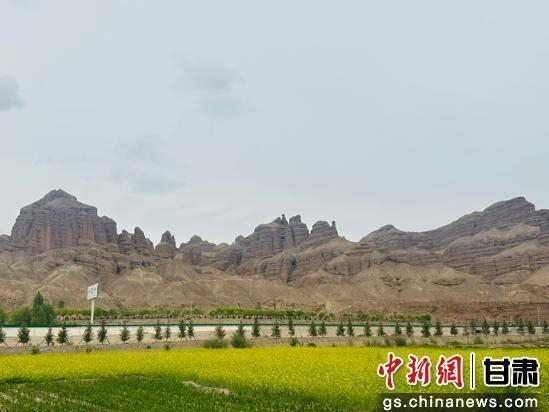 图为丹霞山脚下的白银蒙古族乡白银村油菜花海。魏建军 摄