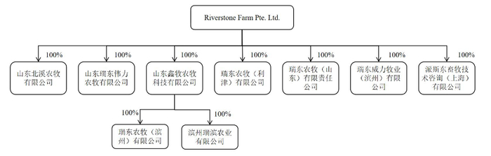 瑞东农牧（新加坡）旗下的七家公司      图源：公告