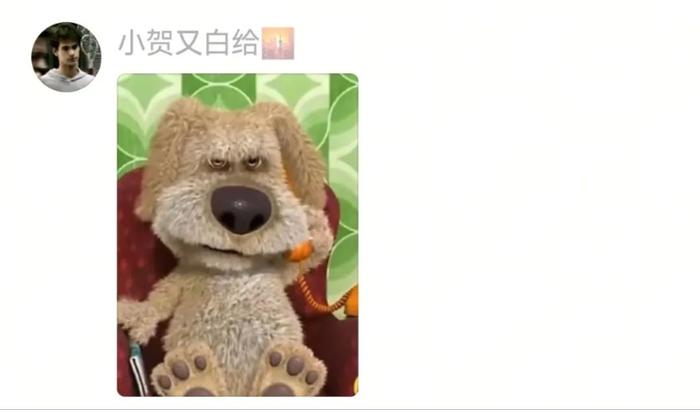 主人给狗子喂不喜欢的菜，狗子前一秒乖乖入口，下一秒直接tui垃圾桶...狗子：意思意思得了，你懂我的意思吗...