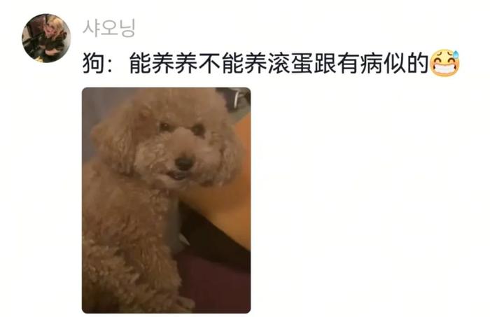 主人给狗子喂不喜欢的菜，狗子前一秒乖乖入口，下一秒直接tui垃圾桶...狗子：意思意思得了，你懂我的意思吗...