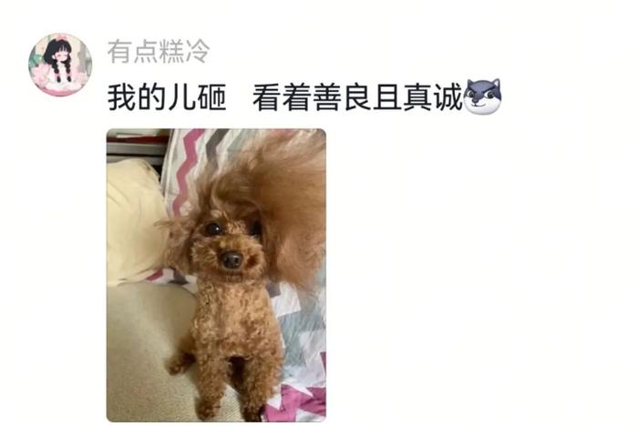 主人给狗子喂不喜欢的菜，狗子前一秒乖乖入口，下一秒直接tui垃圾桶...狗子：意思意思得了，你懂我的意思吗...