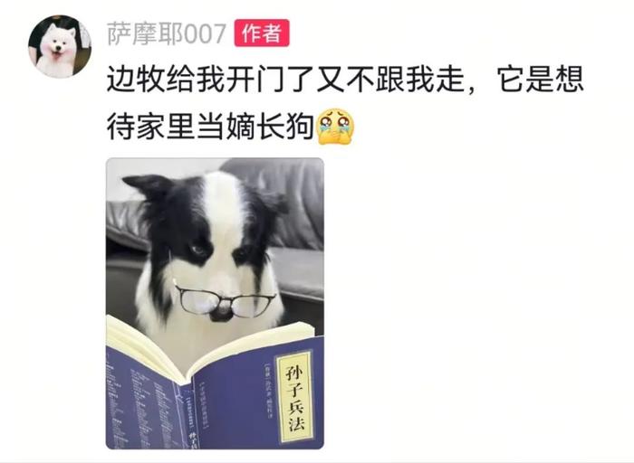 主人给狗子喂不喜欢的菜，狗子前一秒乖乖入口，下一秒直接tui垃圾桶...狗子：意思意思得了，你懂我的意思吗...