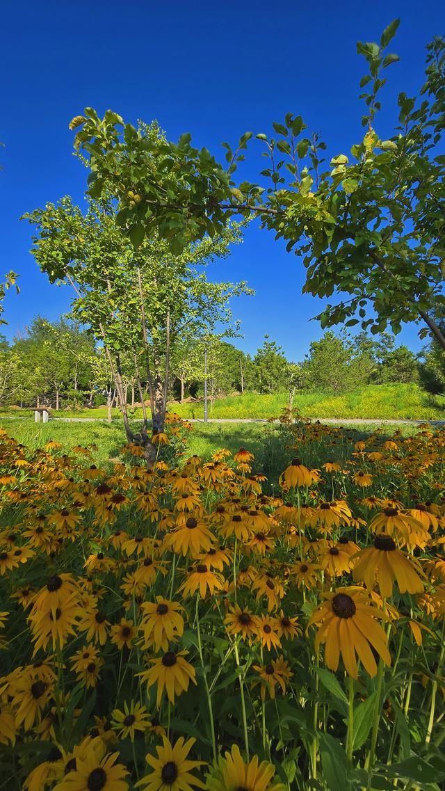 来源：北京日报客户端