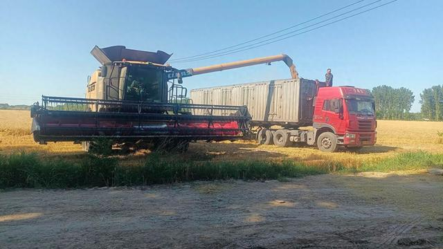 “麦客”正驾驶着联合收割机在北京市通州区收麦。受访者供图