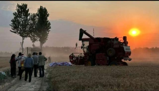 王铭泽正驾驶着联合收割机在河南新乡收麦。 受访者供图