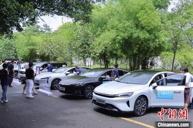 图为活动现场。张存立 摄