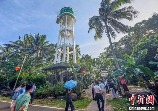 图为定安龙门镇大山村水塔咖啡。中新网记者 骆云飞 摄