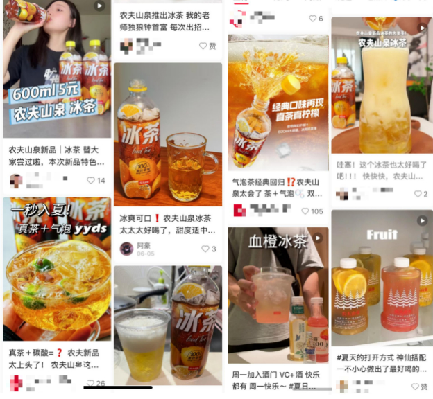 社交平台上的农夫山泉测评，图源：小红书