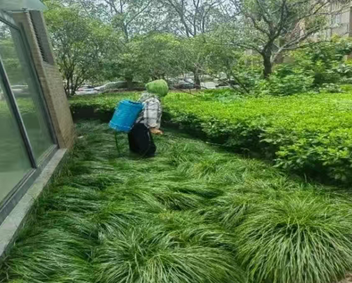 专业人员正在小区内进行消杀。
