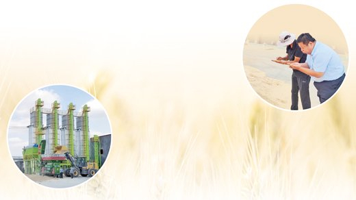 左图：合作社新购置的烘干塔。 