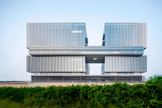 脑解析与脑模拟重大科技基础设施