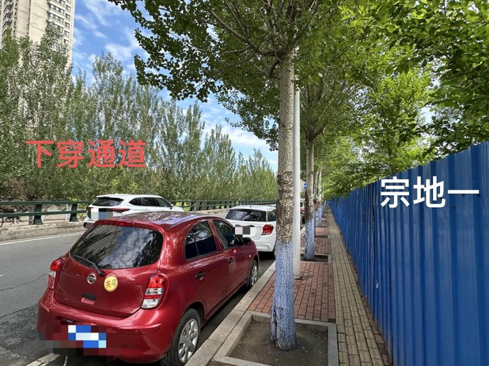 哈西大街地块实拍图 白杨/摄