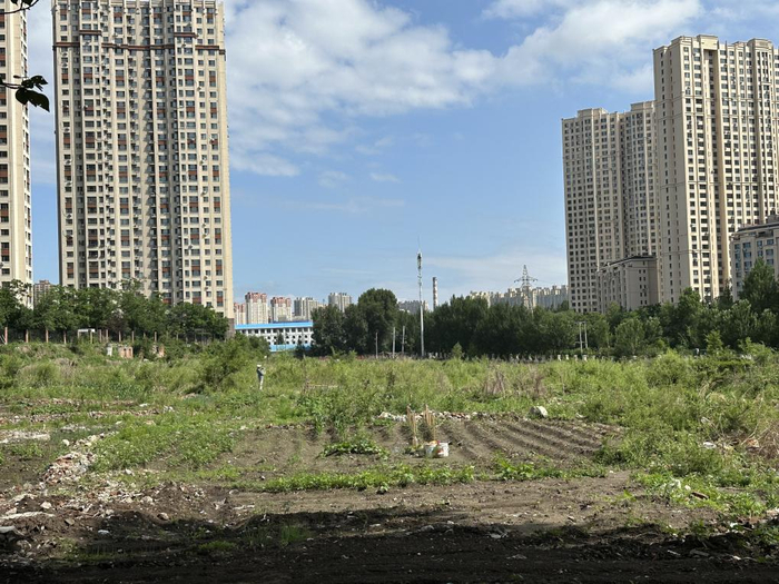 清华大街地块实拍图 白杨/摄