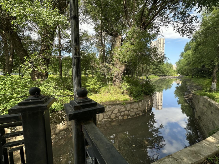 公园实拍图 白杨/摄