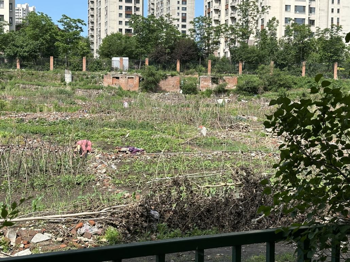 清华大街地块实拍图 白杨/摄