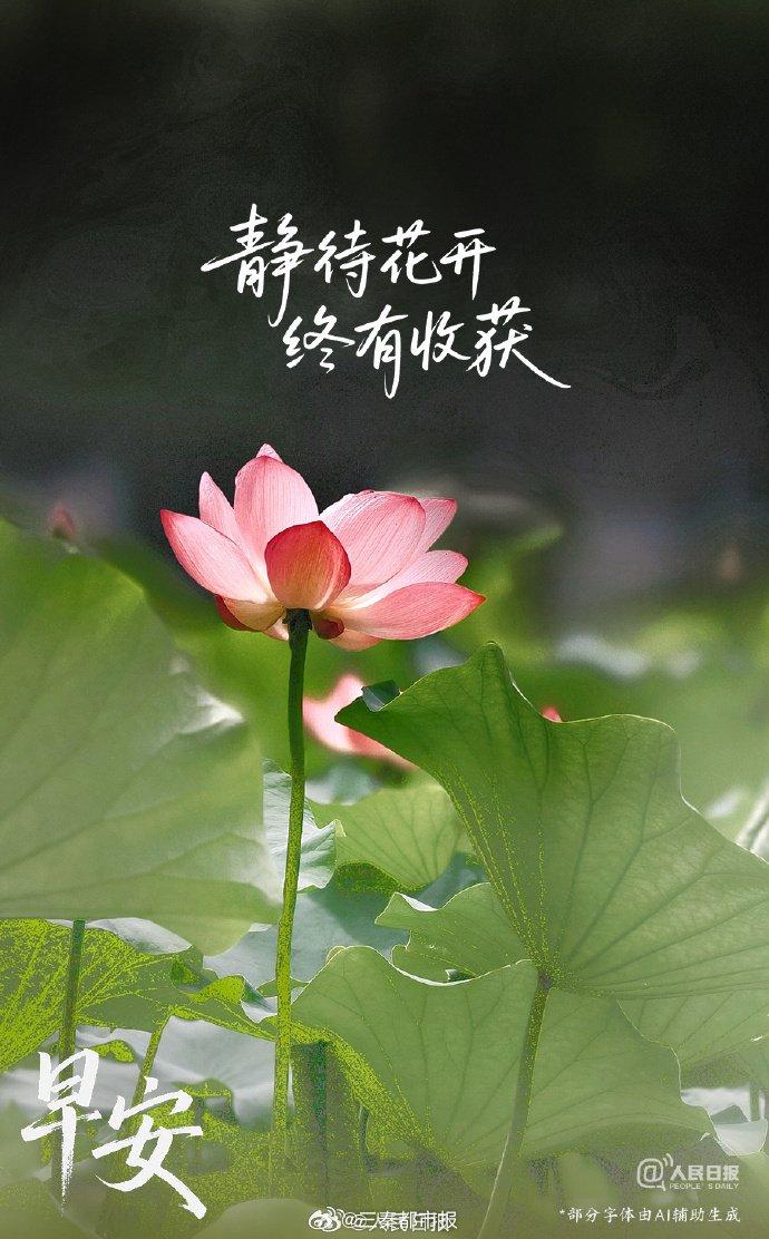 静待花开终有收获，沉潜蓄力自有光芒