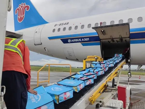 南航CZ3523航班搭载着超10吨荔枝从广州白云国际机场出发
