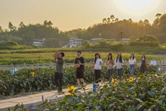 图为市民乐享采摘。璧山区委宣传部 供图
