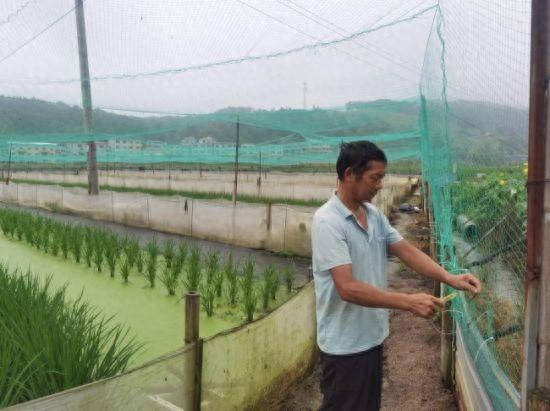 图为黄高亮正加固网架 王道玖摄