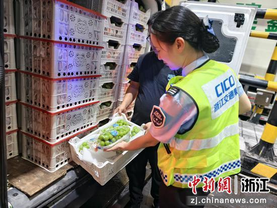 工作人员对绿通车进行查验。李雨霞 摄