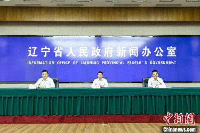 新闻发布会现场。王景巍 摄