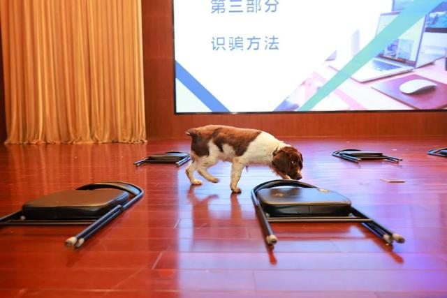 ▲特警支队携带缉毒犬走进新华教育集团，通过“知识讲解+实战演示”的形式，为同学们带来一堂生动的禁毒教育课。