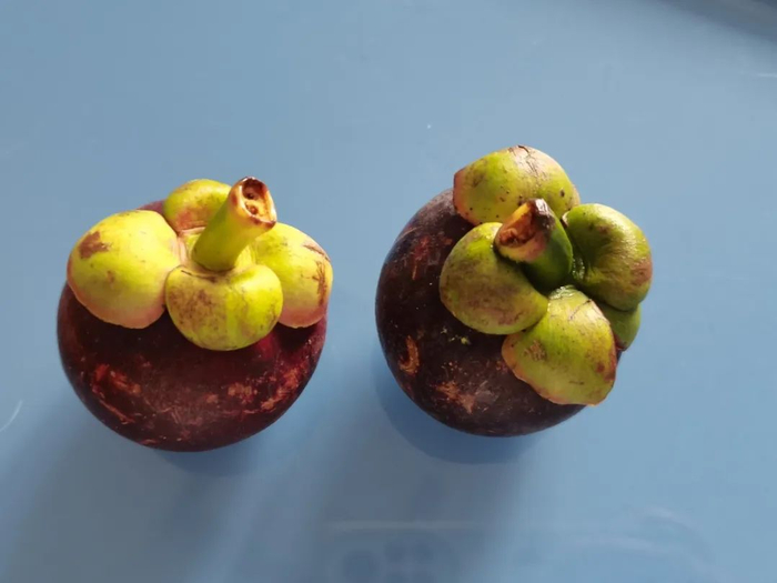 图：自己拍的