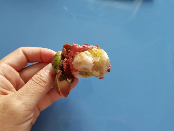 图：自己拍的