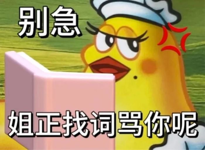 图片来源：小红书@小小乖下士