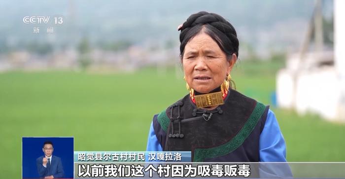 今日的新闻头条10条凉山的简单介绍