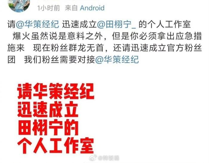 田栩宁热度攀升引发展讨论