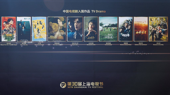 本届白玉兰奖中国电视剧入围作品