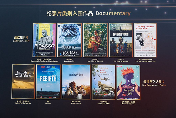 纪录片单元入围作品