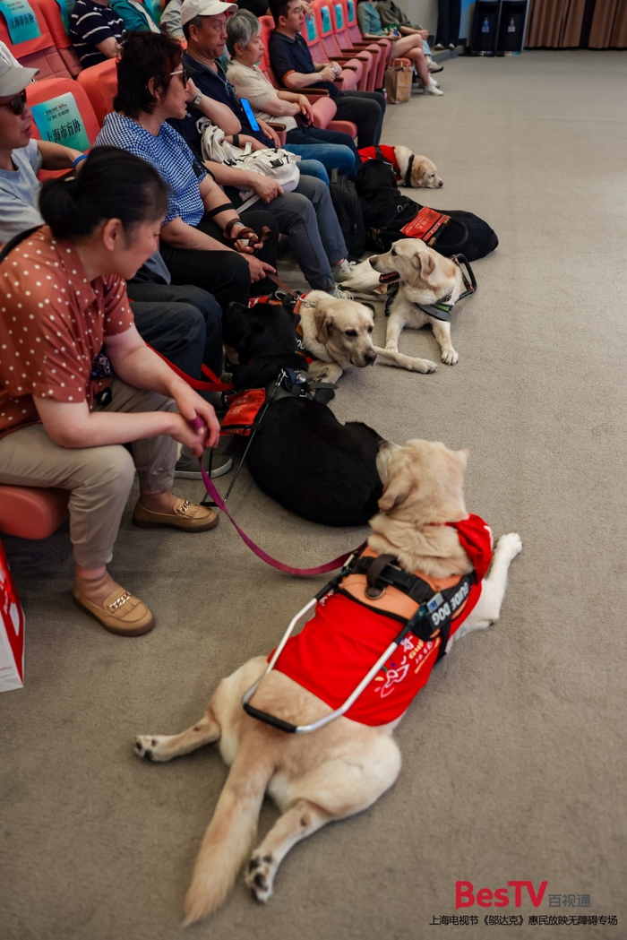 本届电视节上，一批特殊观众在导盲犬陪伴下观看《邬达克》