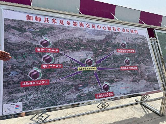 伽师新梅米夏乡交易中心辐射带动区域图。中青报·中青网记者 贾骥业/摄