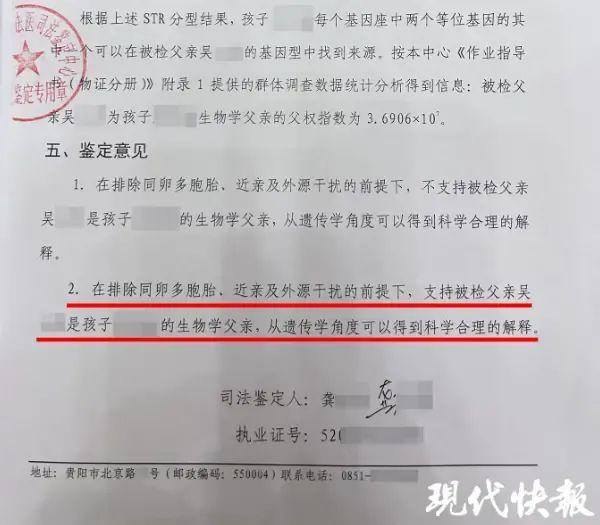 亲子鉴定报告