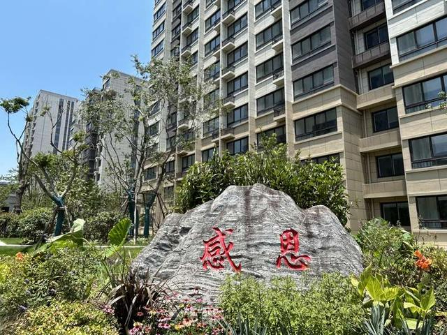 彭一小区中心绿地上树立的“感恩石”。中青报·中青网记者 魏其濛/摄