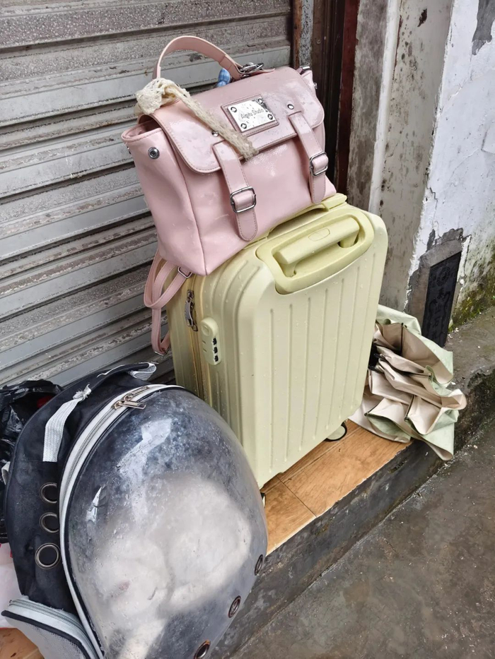 ▲6月28日，张听带着双肩包、行李箱和猫包撤离。 受访者供图