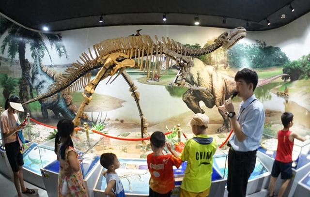 暑假期间，在广西自然博物馆，不少学生前来参观地球与生物历史展。广西云-广西日报记者 梁凯昌 摄（资料图片）