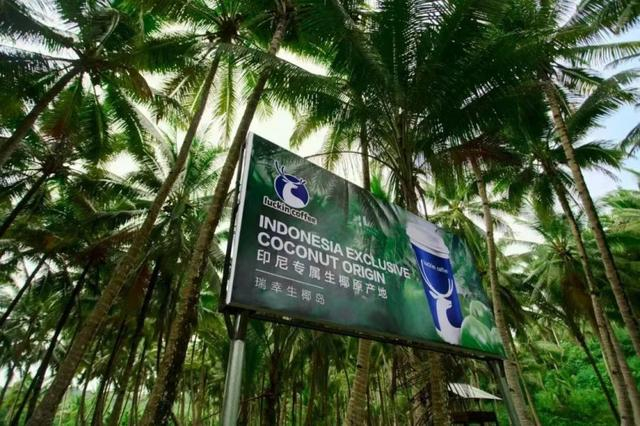 2025年3月瑞幸咖啡在印尼建立“专属生椰岛”