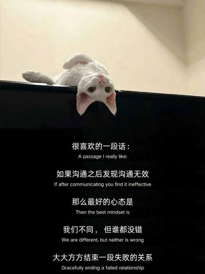 网友分享治愈语录引发共鸣