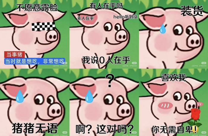 火腿肠猪（图片来源：小红书）